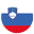 Slovenia flag