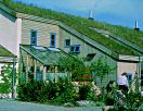 Liadrain pro zelené střechy